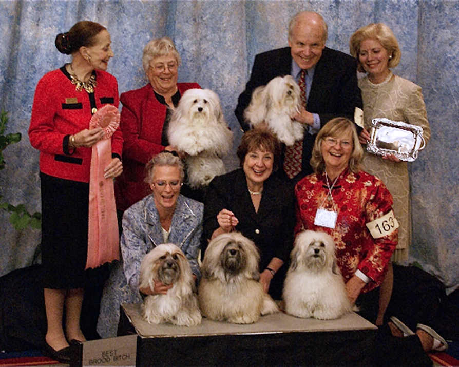Champion Saucy, at Havanese National Specialty show, winning "Best Brood Bitch" and her Champion show progeny. Champion Saucy, at Havanese National Specialty show, winning "Best Brood Bitch" and her Champion show progeny.